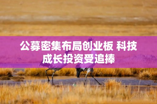 公募密集布局创业板 科技成长投资受追捧