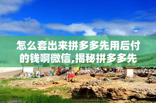 怎么套出来拼多多先用后付的钱啊微信,揭秘拼多多先用后付的秘密，如何轻松套现
