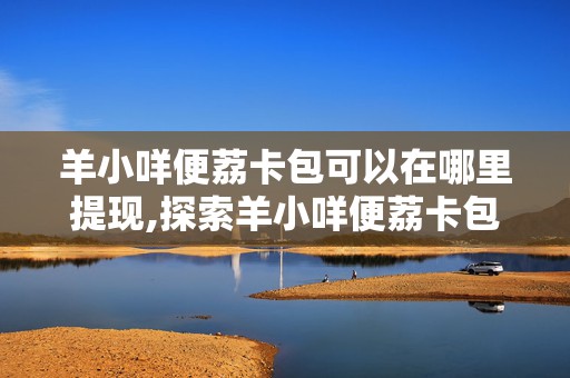 羊小咩便荔卡包可以在哪里提现,探索羊小咩便荔卡包提现的多种途径