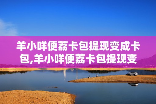 羊小咩便荔卡包提现变成卡包,羊小咩便荔卡包提现变成卡包，用户体验与创新的探索