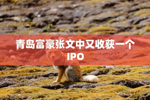 青岛富豪张文中又收获一个IPO
