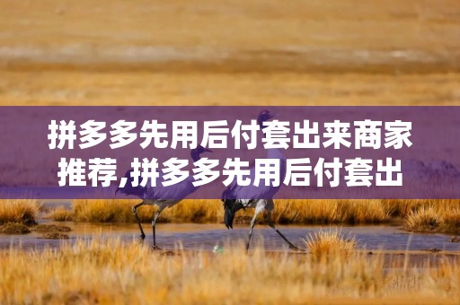 拼多多先用后付套出来商家推荐,拼多多先用后付套出来商家推荐，提升用户体验与商家收益的双赢策略