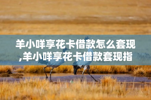 羊小咩享花卡借款怎么套现,羊小咩享花卡借款套现指南
