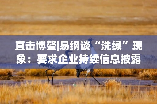 直击博鳌|易纲谈“洗绿”现象：要求企业持续信息披露，数据会逐渐改善
