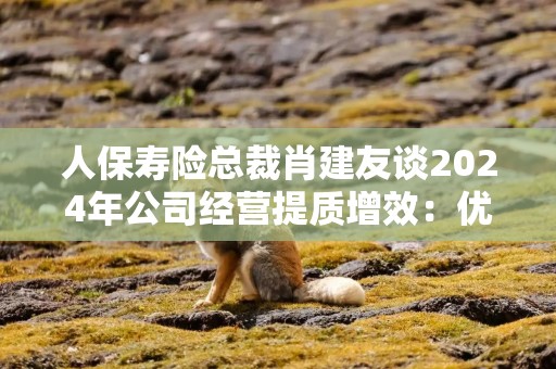人保寿险总裁肖建友谈2024年公司经营提质增效：优化产品结构、推动降本增效、严格落实“报行合一”等举措