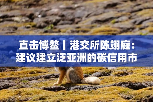 直击博鳌丨港交所陈翊庭：建议建立泛亚洲的碳信用市场
