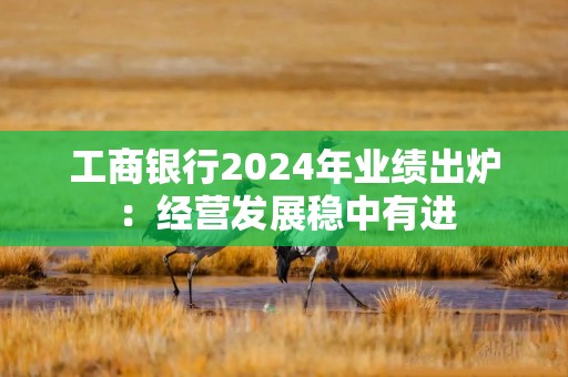工商银行2024年业绩出炉：经营发展稳中有进