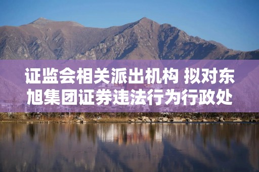证监会相关派出机构 拟对东旭集团证券违法行为行政处罚