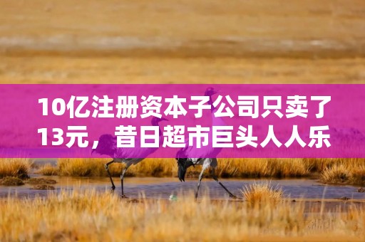 10亿注册资本子公司只卖了13元，昔日超市巨头人人乐怎么了？