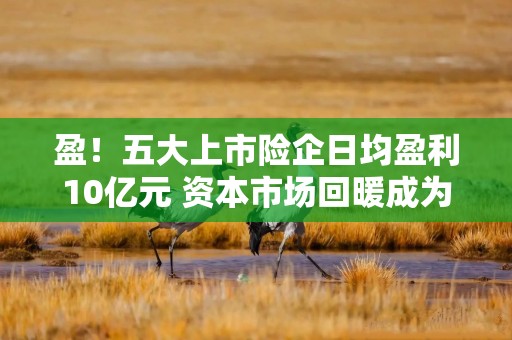 盈！五大上市险企日均盈利10亿元 资本市场回暖成为核心推手