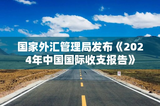 国家外汇管理局发布《2024年中国国际收支报告》