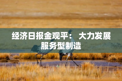 经济日报金观平： 大力发展服务型制造