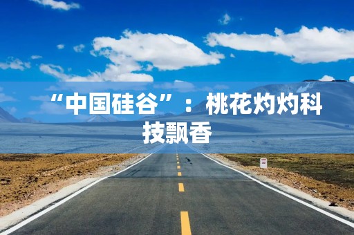 “中国硅谷”：桃花灼灼科技飘香