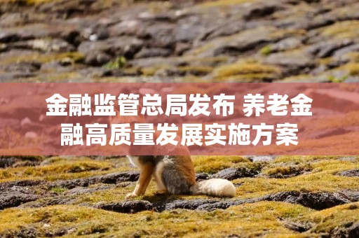 金融监管总局发布 养老金融高质量发展实施方案