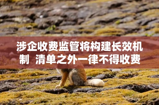 涉企收费监管将构建长效机制  清单之外一律不得收费