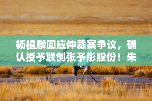 杨植麟回应仲裁案争议，确认授予联创张予彤股份！朱啸虎火速表态：不能隐瞒欺骗