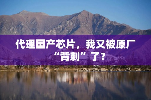 代理国产芯片，我又被原厂“背刺”了？