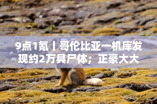 9点1氪丨哥伦比亚一机库发现约2万具尸体；正豪大大鸡排将关闭中国大陆所有门店；向佐穿女装带货首场卖出5千万