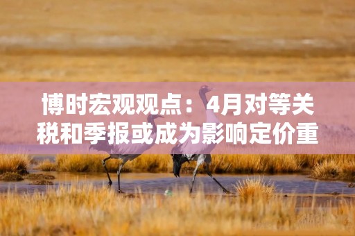 博时宏观观点：4月对等关税和季报或成为影响定价重要因素