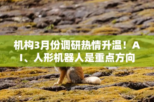 机构3月份调研热情升温！AI、人形机器人是重点方向