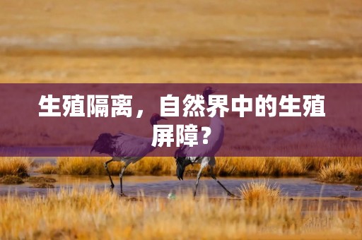 生殖隔离，自然界中的生殖屏障？