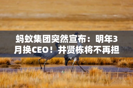 蚂蚁集团突然宣布：明年3月换CEO！井贤栋将不再担任，接任者是他