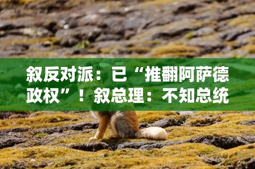 叙反对派：已“推翻阿萨德政权”！叙总理：不知总统阿萨德下落！白宫最新表态