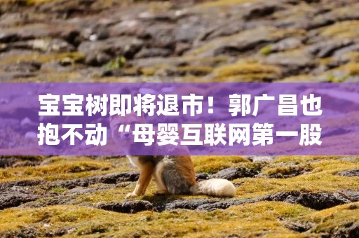 宝宝树即将退市！郭广昌也抱不动“母婴互联网第一股”