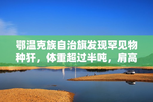 鄂温克族自治旗发现罕见物种犴，体重超过半吨，肩高可达2.4米！
