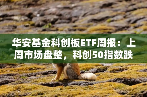 华安基金科创板ETF周报：上周市场盘整，科创50指数跌1.29%