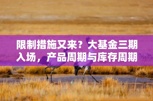 限制措施又来？大基金三期入场，产品周期与库存周期向好，相关ETF涵盖完整产业链的优质标的