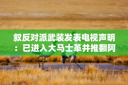 叙反对派武装发表电视声明：已进入大马士革并推翻阿萨德政权