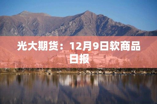 光大期货：12月9日软商品日报