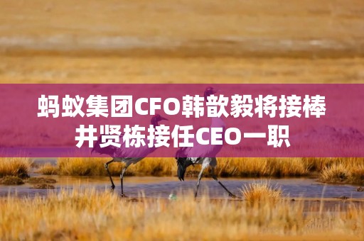 蚂蚁集团CFO韩歆毅将接棒井贤栋接任CEO一职