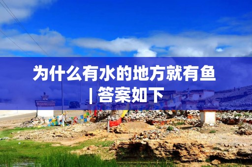 为什么有水的地方就有鱼 | 答案如下