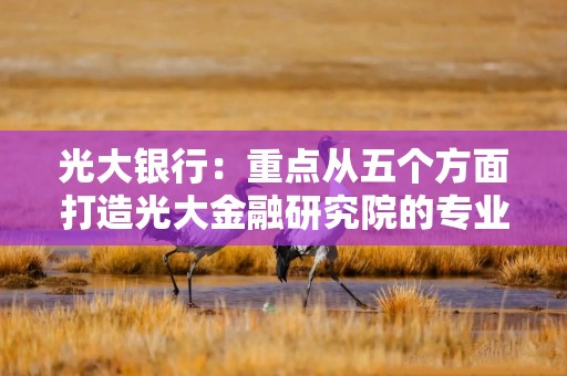 光大银行：重点从五个方面打造光大金融研究院的专业品牌