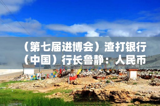 （第七届进博会）渣打银行（中国）行长鲁静：人民币“朋友圈”越来越大