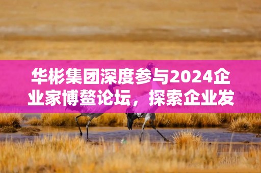 华彬集团深度参与2024企业家博鳌论坛，探索企业发展新动能