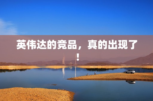 英伟达的竞品，真的出现了！