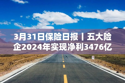 3月31日保险日报丨五大险企2024年实现净利3476亿，坚持高股息策略，金融监管总局发布养老金融新政！