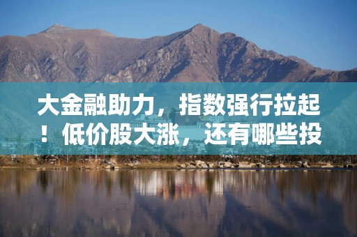 大金融助力，指数强行拉起！低价股大涨，还有哪些投资机会？
