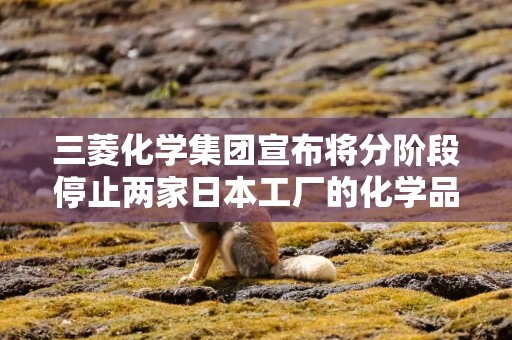 三菱化学集团宣布将分阶段停止两家日本工厂的化学品生产