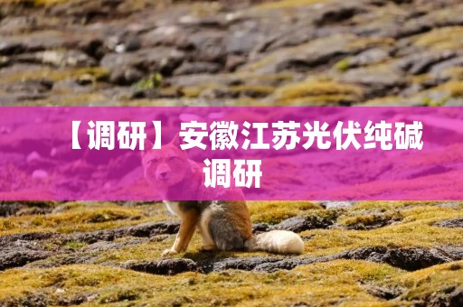 【调研】安徽江苏光伏纯碱调研