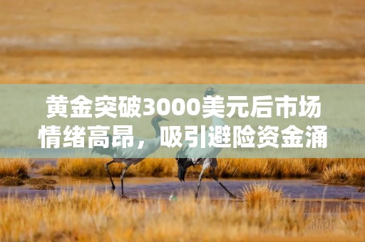 黄金突破3000美元后市场情绪高昂，吸引避险资金涌入