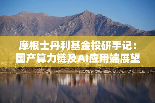 摩根士丹利基金投研手记：国产算力链及AI应用端展望