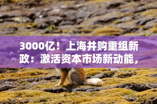 3000亿！上海并购重组新政：激活资本市场新动能，硬科技企业迎黄金时代