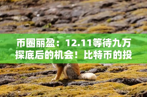 币圈丽盈：12.11等待九万探底后的机会！比特币的投资逻辑将如何重塑！最新行情分析