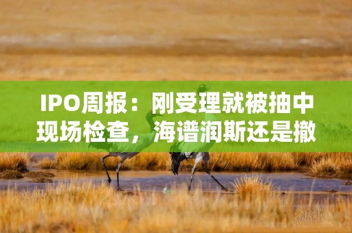 IPO周报：刚受理就被抽中现场检查，海谱润斯还是撤单了