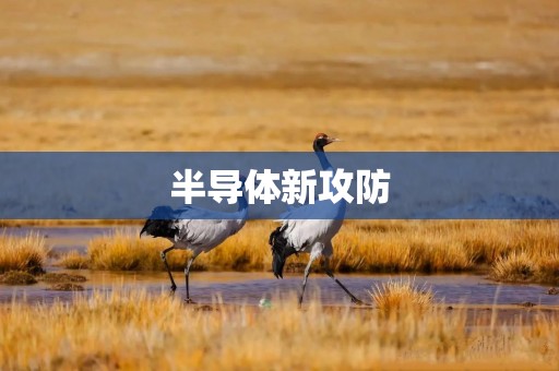 半导体新攻防