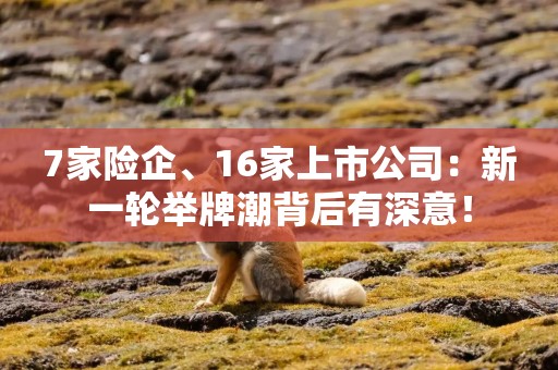 7家险企、16家上市公司：新一轮举牌潮背后有深意！